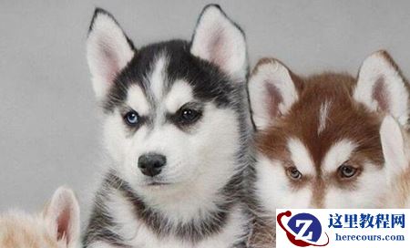 Win10虚拟机如何启用