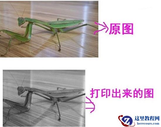 Win10打印图片没打印全怎么办？