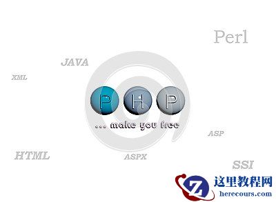 两面入门教程：10个两面零基础入门教程推荐