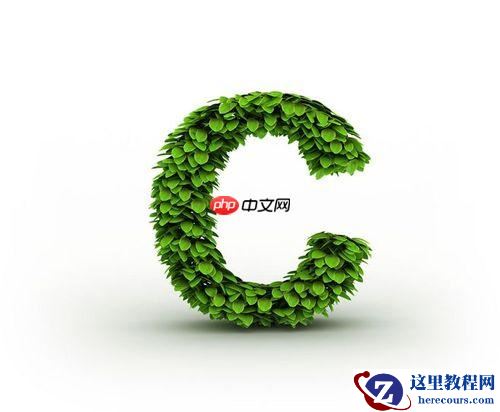 .NET的Module类的作用是什么？如何获取模块信息？