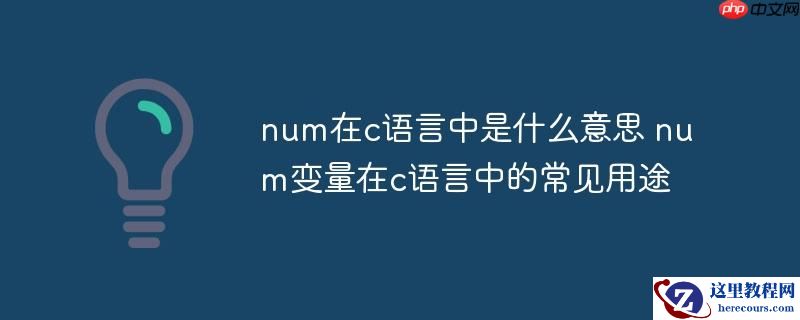 num在c语言中是什么意思 num变量在c语言中的常见用途