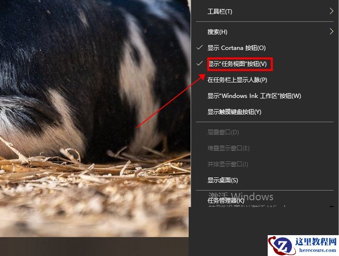 Win10专业版任务视图快捷键是什么？Win10任务视图打开的方法