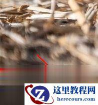 C# 中的背景任务服务如何用于微服务？