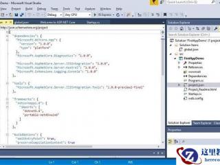 ASP.NET Core实例详解一