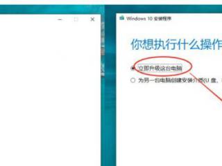 什么是数据库的查询优化器提示？在C#中如何应用？