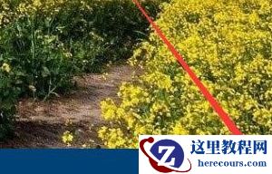 Win10怎么样消除麦克风噪音?Win10消除麦克风噪音方法