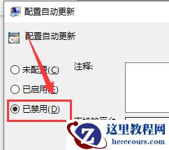 win10版本回退又自动更新