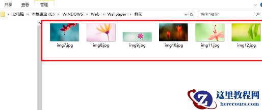 Win10的主题壁纸文件夹在哪里?