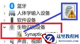 win10笔记本找不到支持指纹的指纹识别器怎么办？