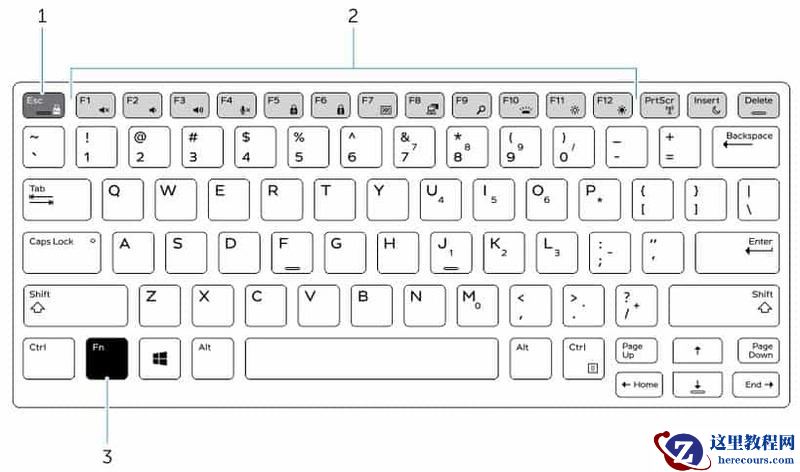 戴尔笔记本电脑数字键盘怎么解锁？戴尔笔记本电脑数字键盘解锁方