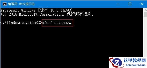 win10不显示文件名称怎么解决？win10恢复文件名显示方法