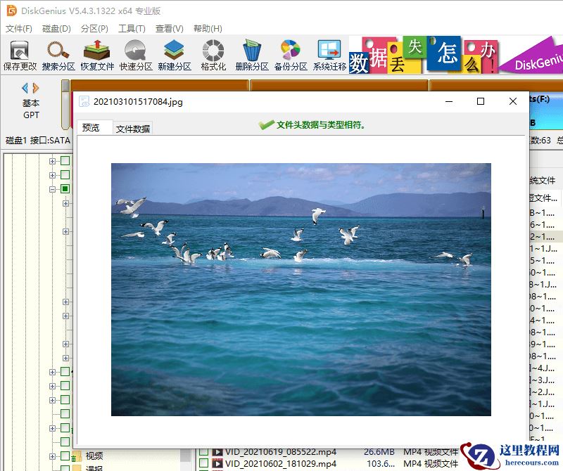 系统重装后C盘的资料还能恢复吗?重装系统后c盘文件怎么恢复?