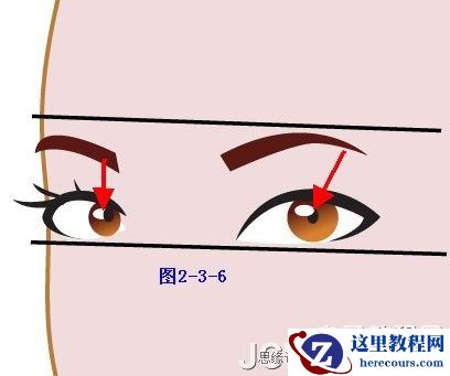 Illustrator插画人物系列之清纯美女的绘制