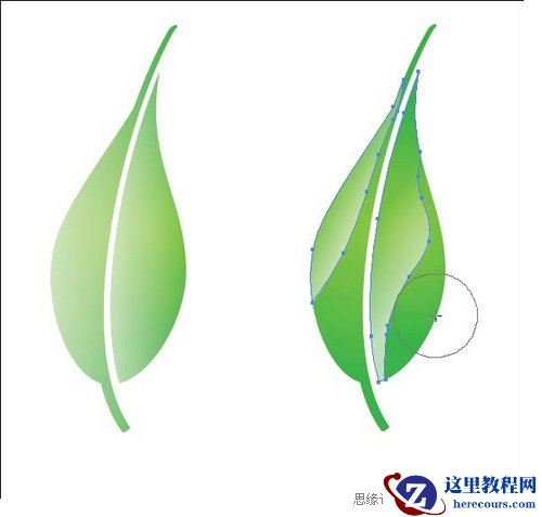 Illustrator创作自然景观矢量图封面