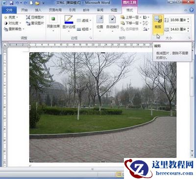 单击“裁剪”按钮