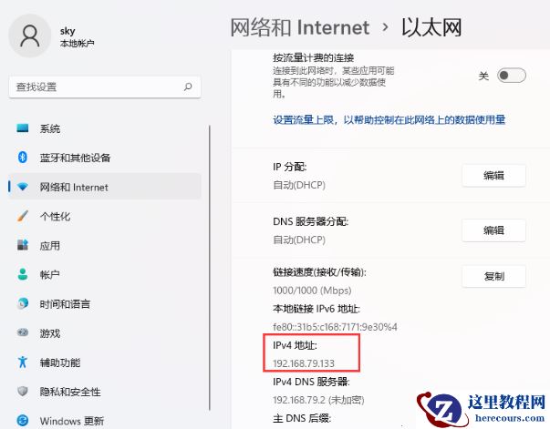 win11怎么查看电脑的ip地址? win11本机ip地址查询的方法