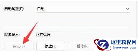 Win11显示未安装音频设备怎么办?Win11显示未安装音频设备解决方法