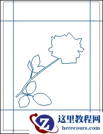 Illustrator基础教程：绘制漂亮的玫瑰花