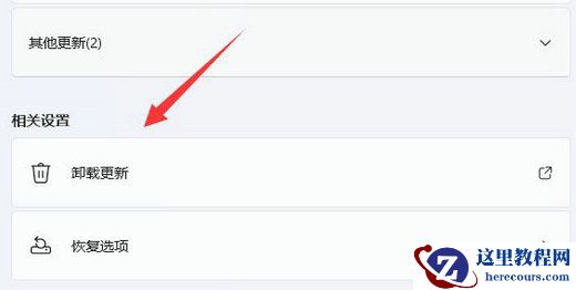Win11自动更新后变得超级卡怎么解决?