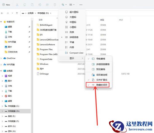 Win11如何查看隐藏文件?Win11查看隐藏文件的方法