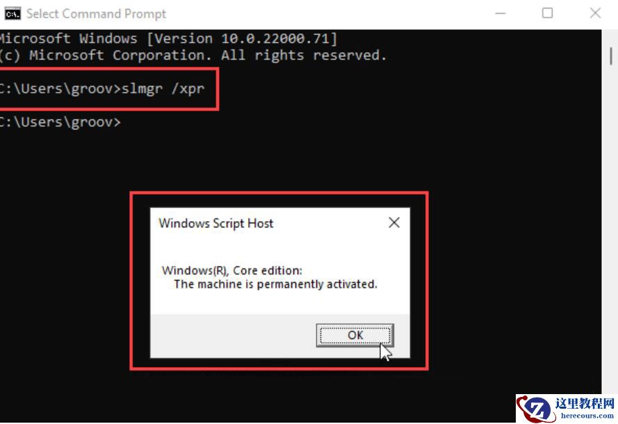Win11系统怎么查看系统激活状态?
