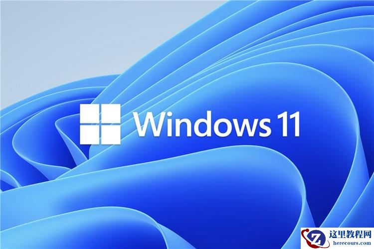 Win11预览版和正式版有什么区别?预览版可以升级正式版吗?
