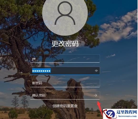 Win11不要密码怎么设置?Win11取消密码登录的步骤教程