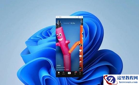 Win11固态硬盘是什么格式？Win11固态硬盘格式详细介绍