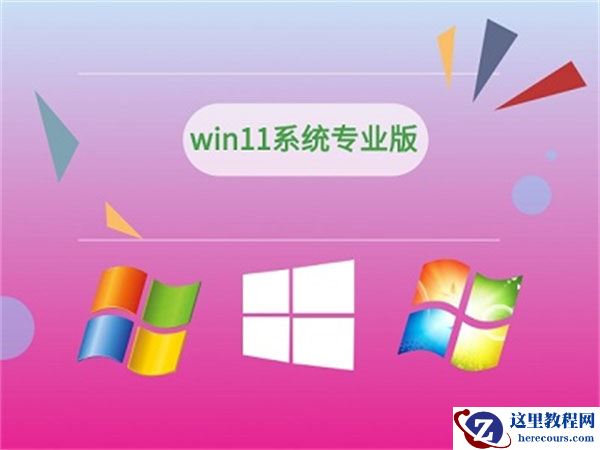 win11家庭版和专业版有什么区别?win11家庭版和专业版区别介绍