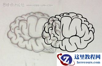 Illustrator绘制大脑图标教程