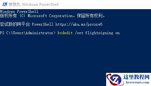 Win11 Dev无法切换Beta通道怎么办?Dev切换Beta通道新方法