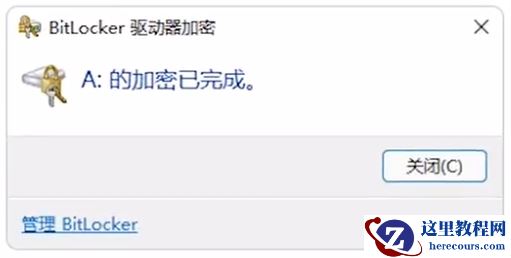 Win11 BitLocker驱动器加密怎么使用 Win11 BitLocker驱动器加密使用方法