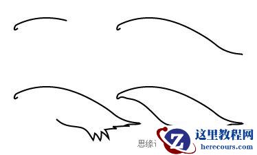 Illustrator色阶画法精细绘制鸟类插画