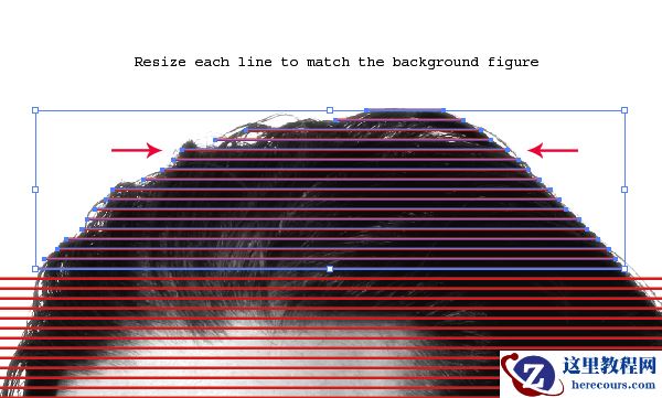 Illustrator教程:怎么样把照片做成抽象的线稿