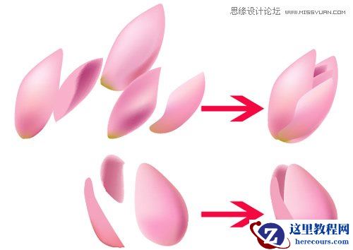 Illustrator使用渐变网格工具绘制漂亮郁金香