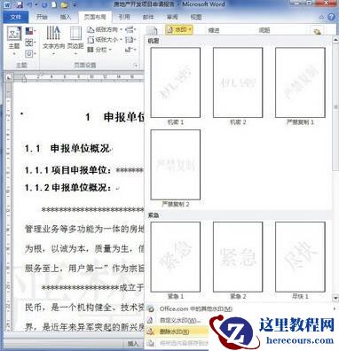 word2010添加和删除水印