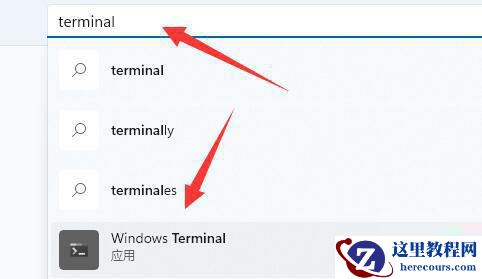 Win11总弹出找不到wt.exe提示怎么办?小编教你两种方法快速解决!