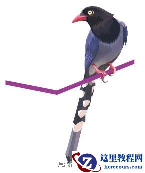 Illustrator色阶画法精细绘制鸟类插画