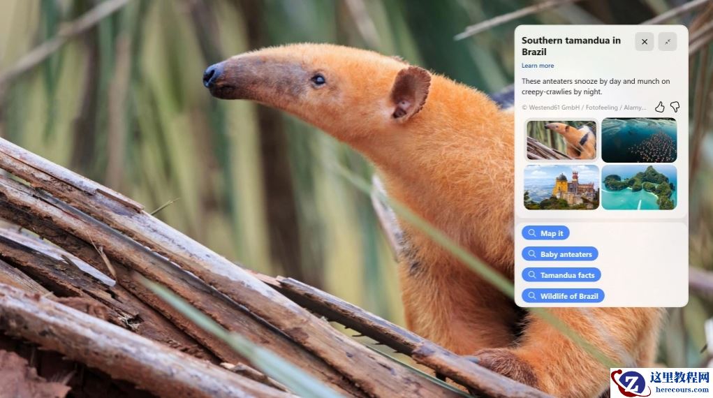 微软Windows11 Insider Preview Build 25281.1000(rs_prerelease)来啦!