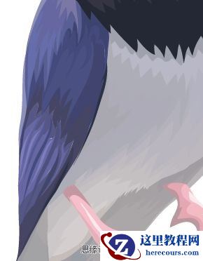 Illustrator色阶画法精细绘制鸟类插画