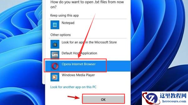 Win11如何更改默认打开方式？Win11更改默认打开方式的方法