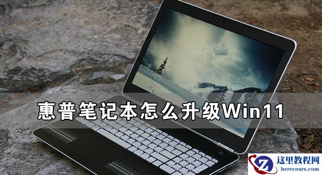 惠普笔记本怎么升级Win11 惠普笔记本升级Win11详细教程