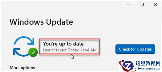 如何手动更新Windows11？手动更新Windows11方法教程