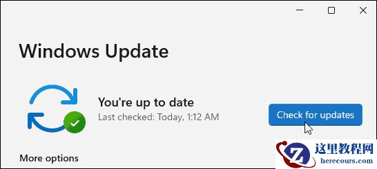 如何手动更新Windows11？手动更新Windows11方法教程