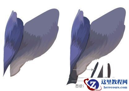 Illustrator色阶画法精细绘制鸟类插画