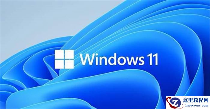 Win11安装版本选择哪个好 怎么选择Win11安装版本