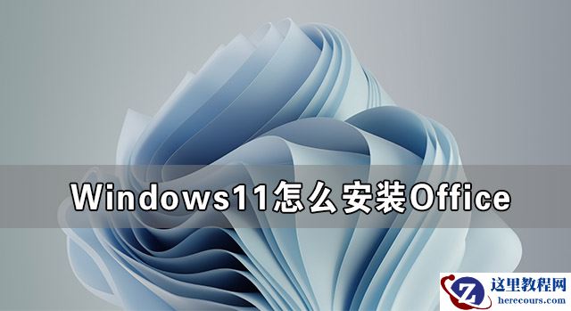 Windows11怎么安装Office Windows11下载安装Office教程