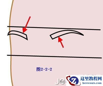 Illustrator插画人物系列之清纯美女的绘制