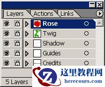 Illustrator基础教程：绘制漂亮的玫瑰花