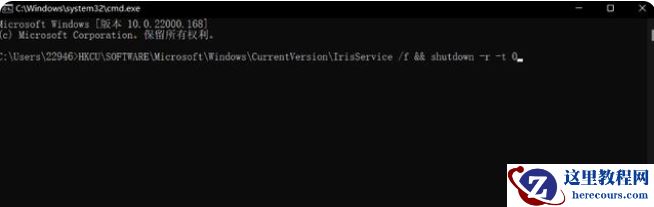 Win11无法调出任务管理器怎么办?Win11任务管理器打不开解决方法